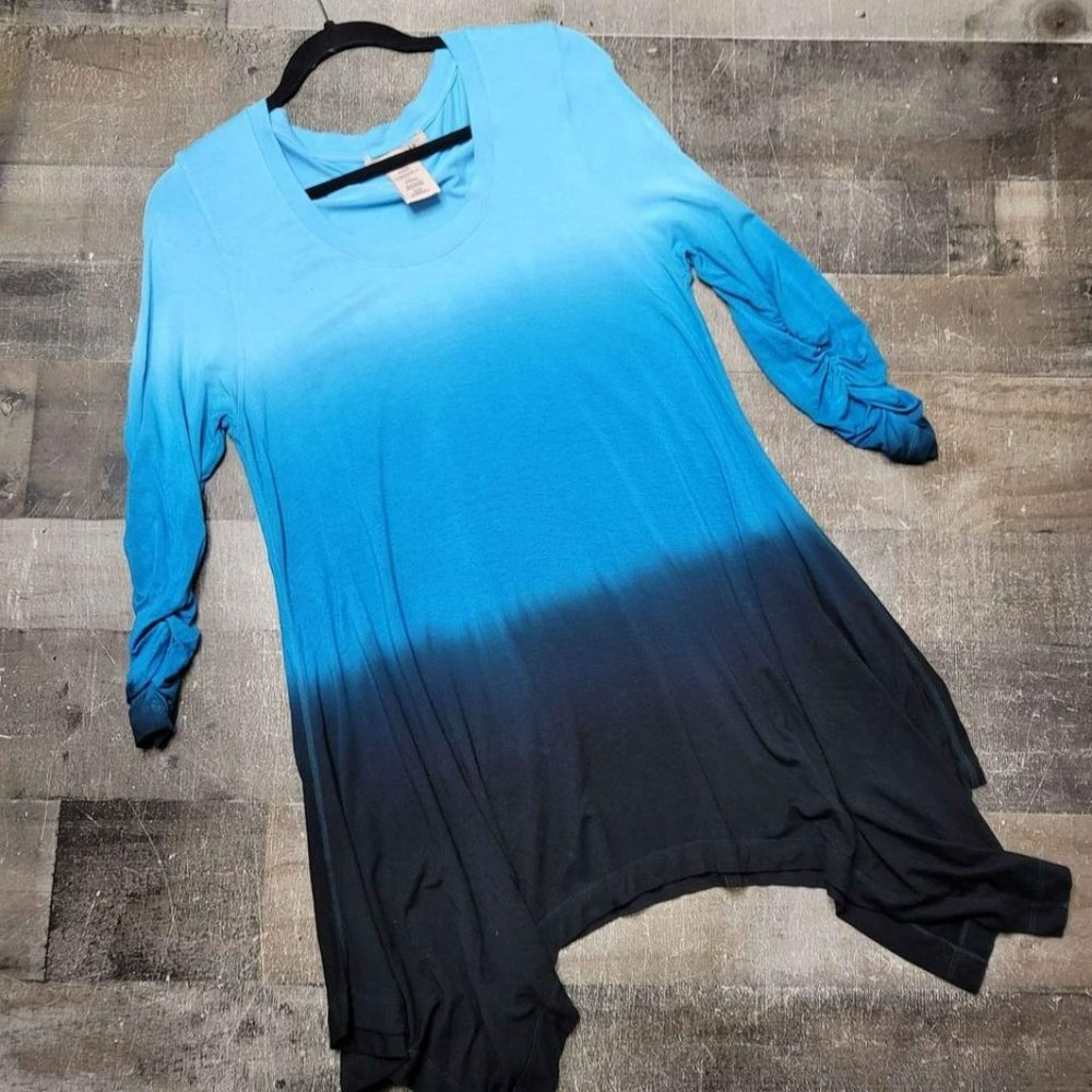 Philosophy Blue Ombre Long Sleeve Tuni size large